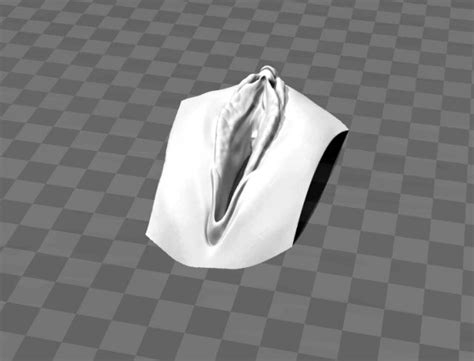 Pussy 3D Models for Free .